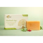 Chikitsya aloe vera berries and olive oil handmade soap